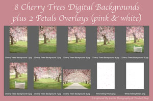 Image of Cherry Trees Digital Backgrounds