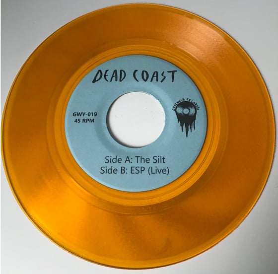 Image of The Silt [Fools Gold] - 7" Vinyl