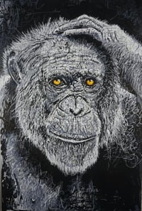 Image 1 of 'fourfort' 