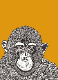 Image 1 of 'chimp peace' 