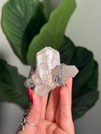 Image 2 of BOWTIE STILBITE X DIAMOND APOPHYLITE -INDIA- G