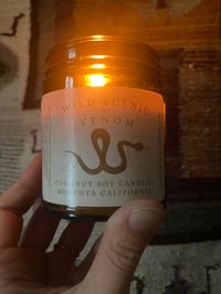 Image 2 of Wild & Scenic Candle by Venom