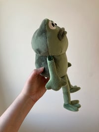 Image 3 of Medium Frog Of Many Names Plushie - OTGW - made to order