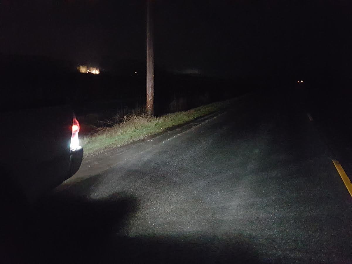 Image of BRIGHT 15 chip Reverse LEDs 194/921 Wedge  - Error Free - Fits: Toyota Tacoma 2001-2017+