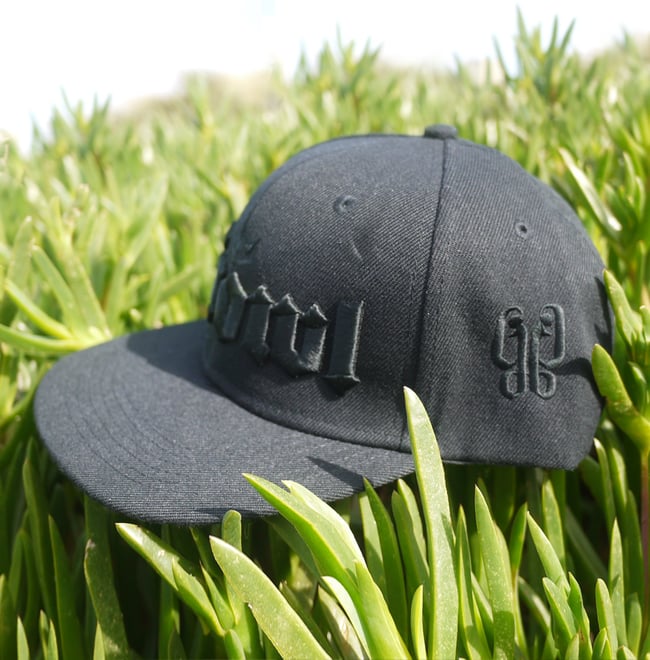 Growl Snapback Stealth