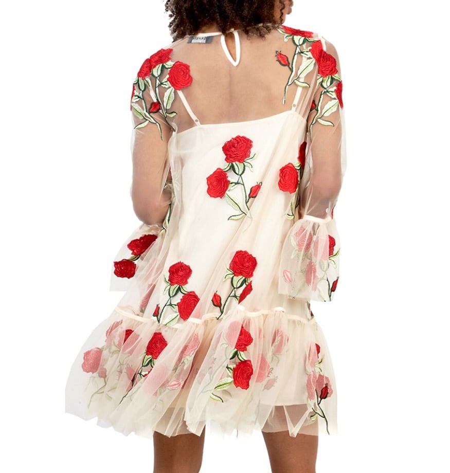 Image of Rose Dress