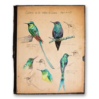 Image 1 of Paper Art Print - "Colibris"