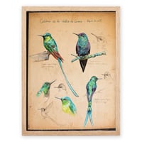 Image 4 of Paper Art Print - "Colibris"