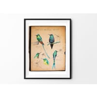 Image 5 of Paper Art Print - "Colibris"