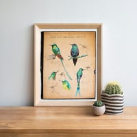 Image 2 of Paper Art Print - "Colibris"