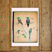Image 3 of Paper Art Print - "Colibris"