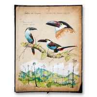 Image 1 of Paper Art Print - "Toucans"