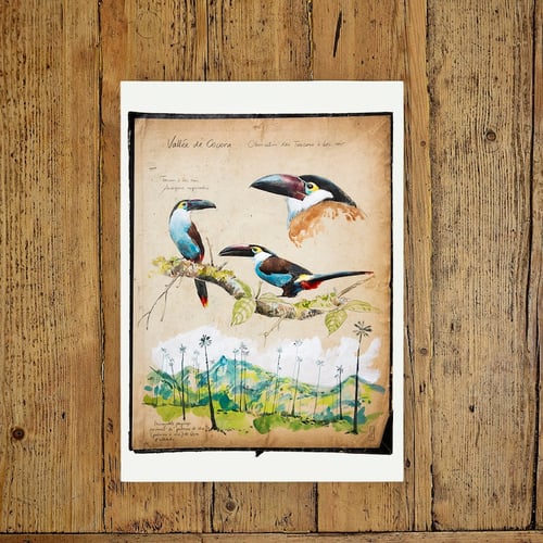 Image of Paper Art Print - "Toucans"