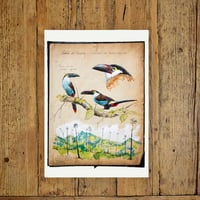 Image 4 of Paper Art Print - "Toucans"