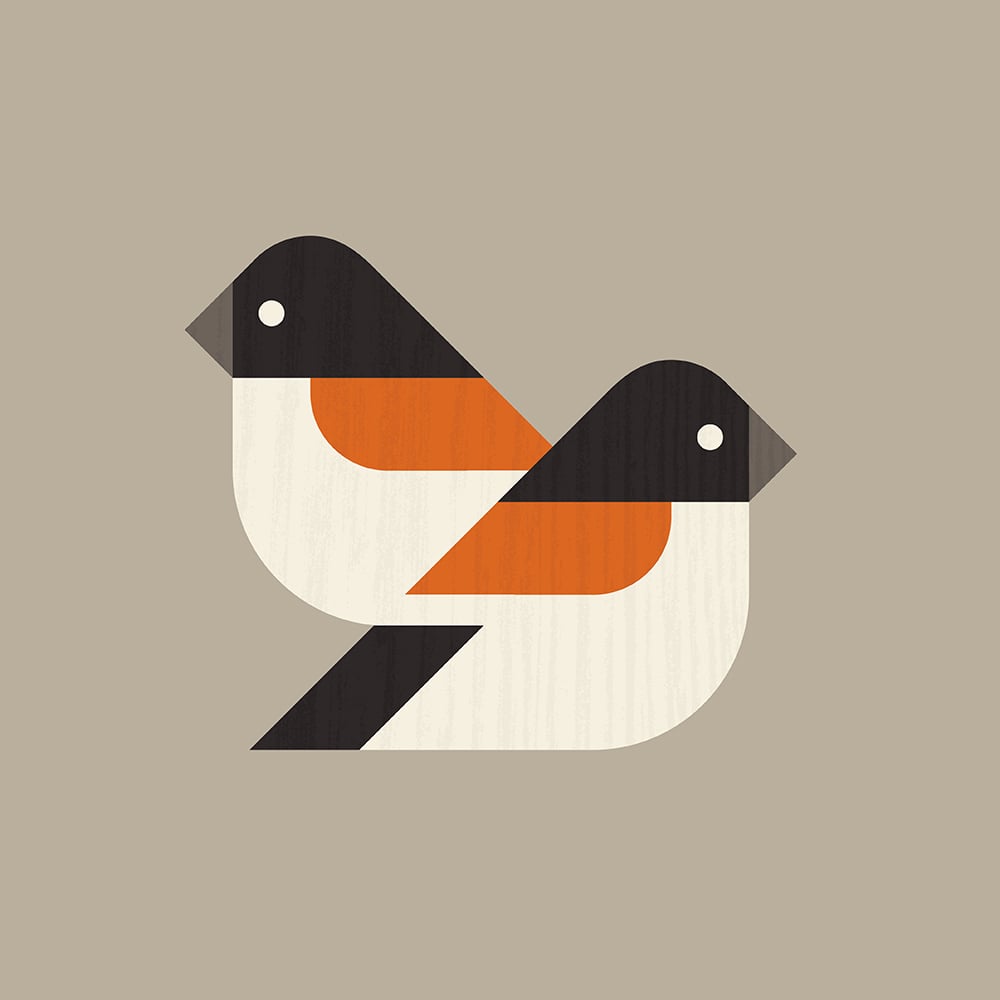 Image of Brambling Artprint (European Finches Series)