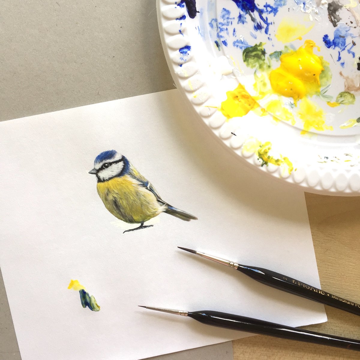 Image of Bertie Blue Tit ~ Removable Wall sticker