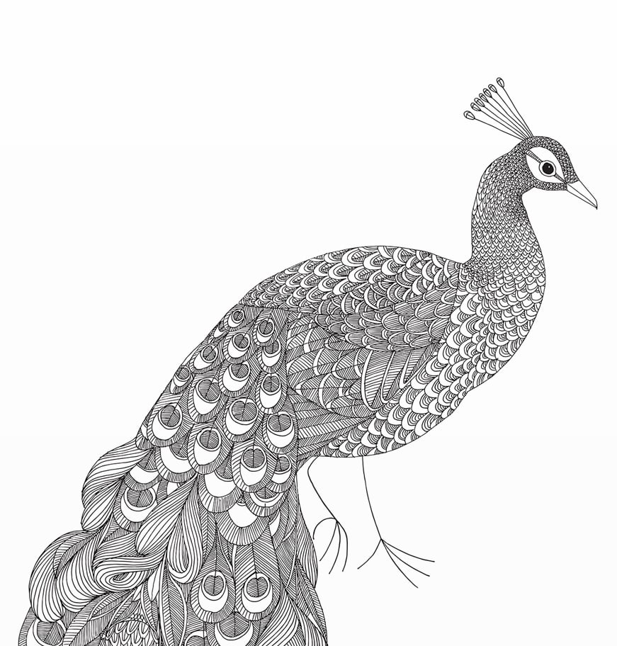 Large Print: Flowery Peacock
