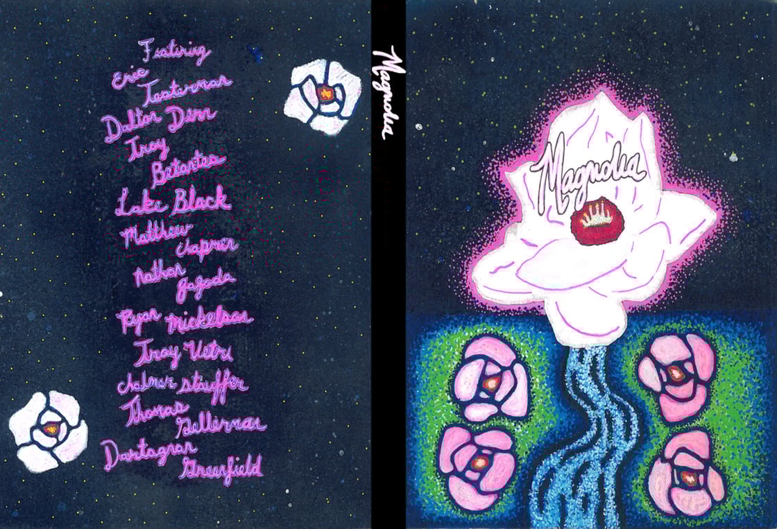 Image of Magnolia DVD