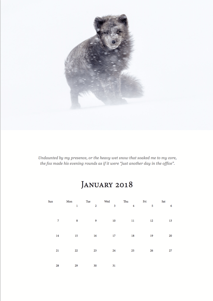 Image of Melrakki 2018 Calendar