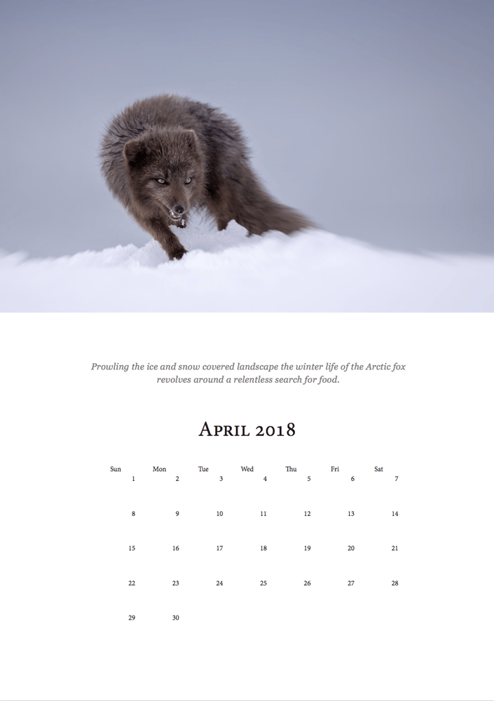 Image of Melrakki 2018 Calendar