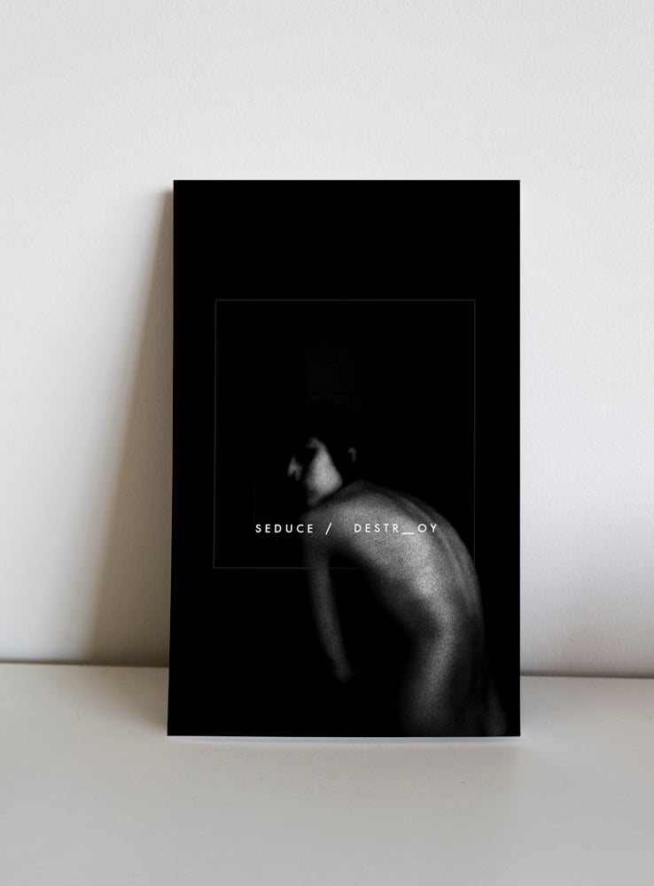 Image of Book / Seduce & Destroy