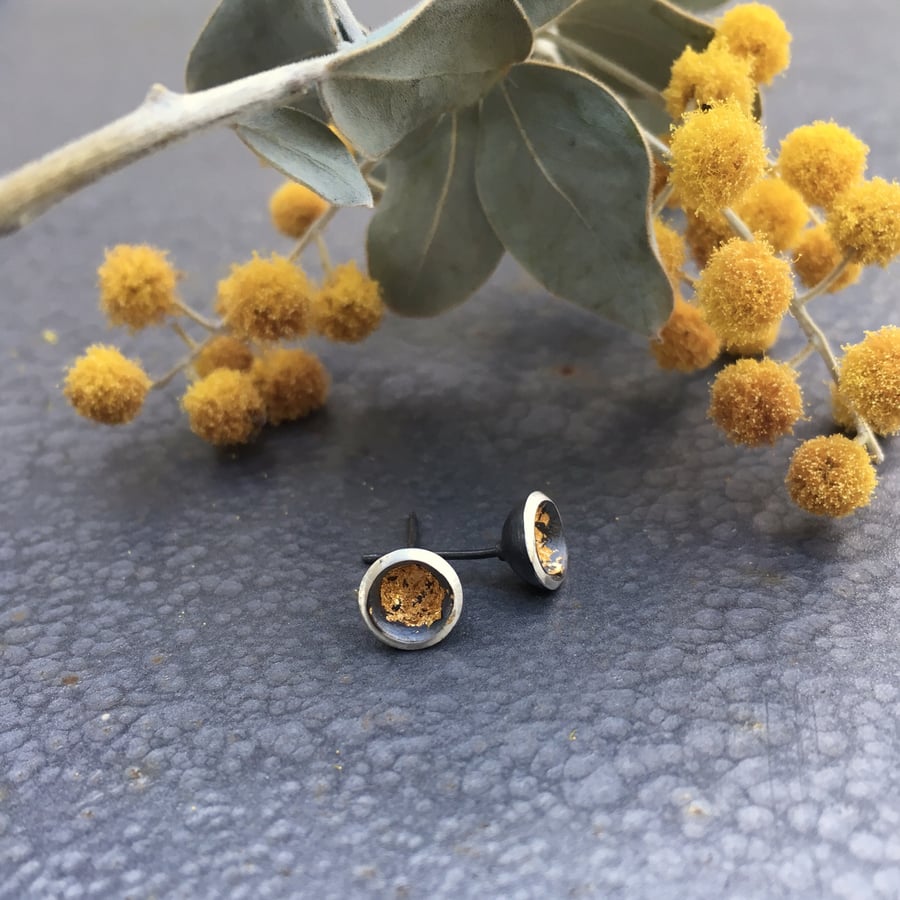 Image of Acacia Studs