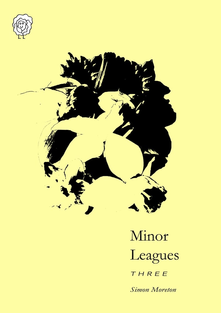 Image of Minor Leagues #3