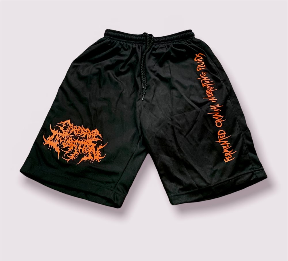 Cerebral Incubation - Shorts/Snapback