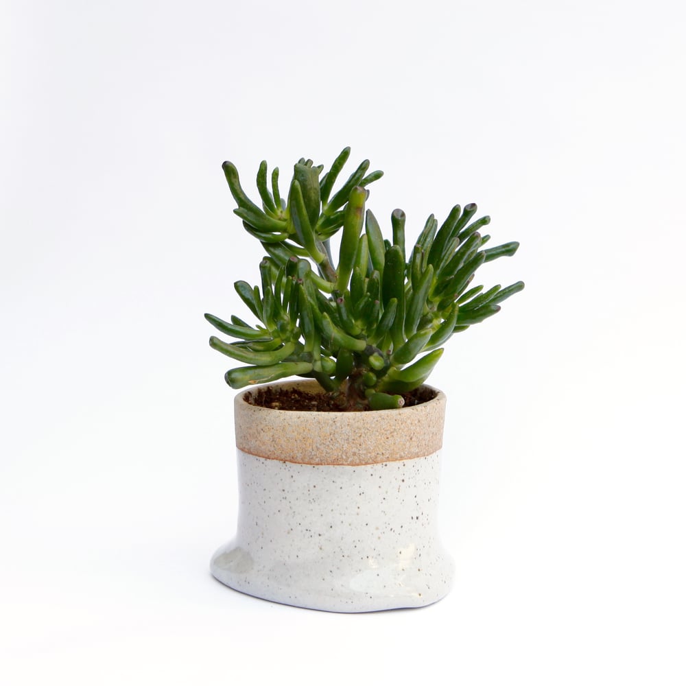 Image of Slouch Planter