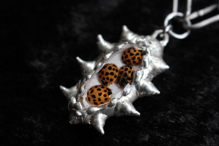 dead good ladybirds spiky necklace Image 3