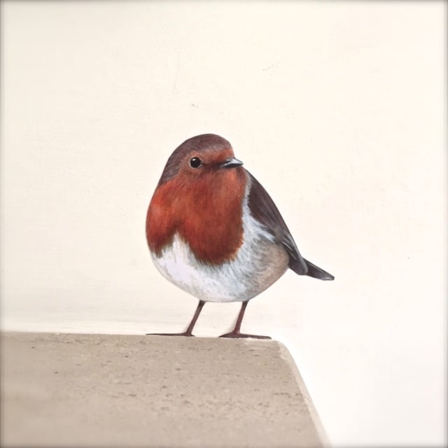 Image of Roberta Robin ~ Removable Wall sticker