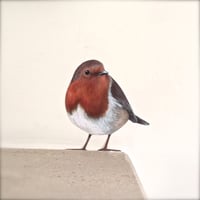 Image 2 of Roberta Robin ~ Removable Wall sticker