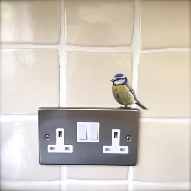 Image of Bertie Blue Tit ~ Removable Wall sticker