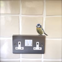 Image 3 of Bertie Blue Tit ~ Removable Wall sticker