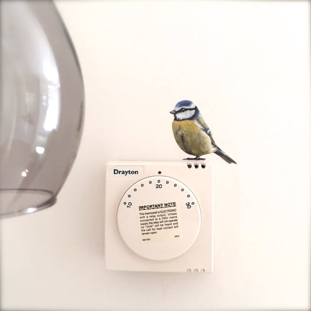 Image of Bertie Blue Tit ~ Removable Wall sticker