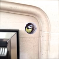 Image 4 of Bessie Blue tit in wall ~ Removable Wall sticker