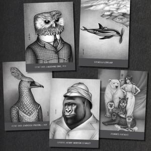 Image of Set of 20 postcards