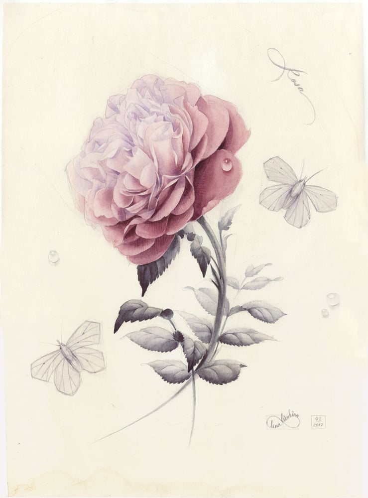 Image of Original work. Rose