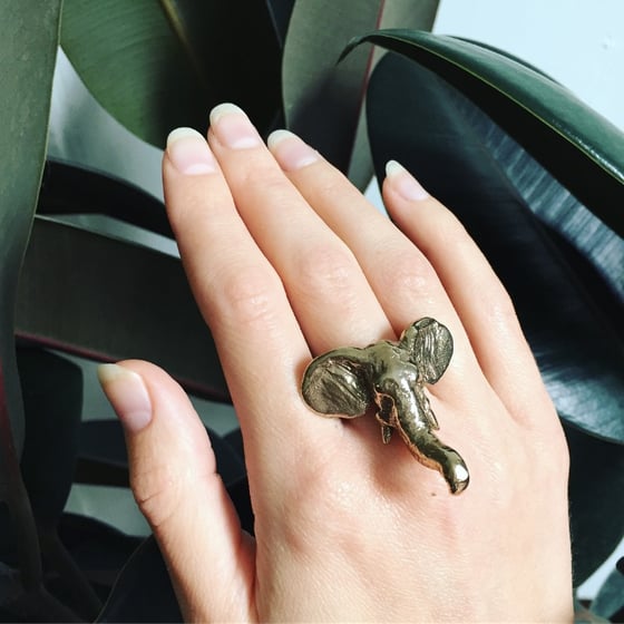Image of Elephant Ring