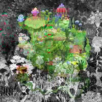 Image 1 of Fishing for Dreams 2.0