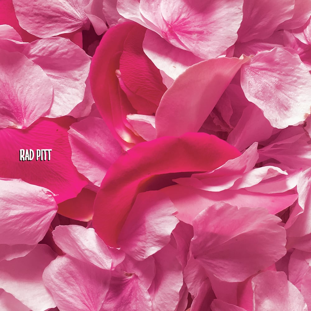 Image of PINK CD (2017)