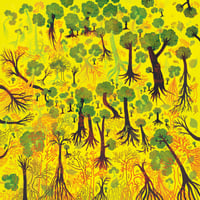 Image 1 of Exploring a forest of optimism