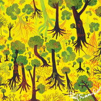 Image 2 of Exploring a forest of optimism