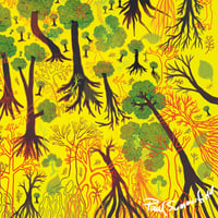 Image 3 of Exploring a forest of optimism