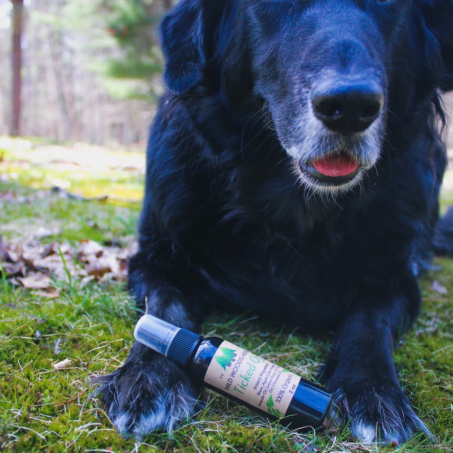 Image of Ticked Off! Insect Repellent