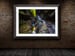 Image of Glens Gorge Dark Oak