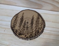 Image 3 of Live Edge Coasters