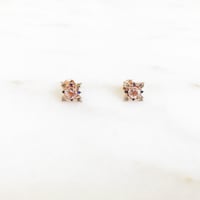 Image 1 of Winter Forest Morganite Earring