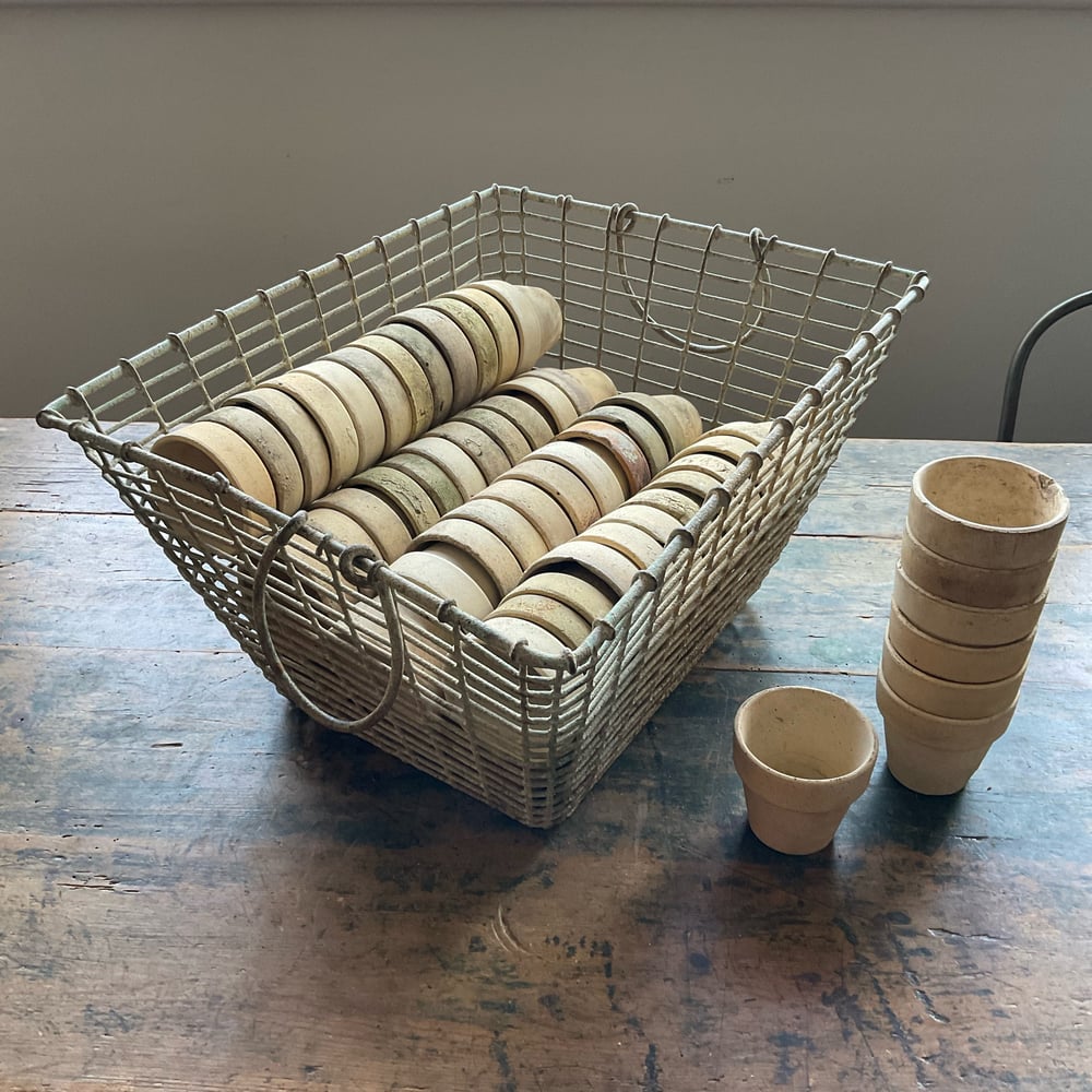 Image of French Oyster Basket