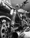 Swing arm decals